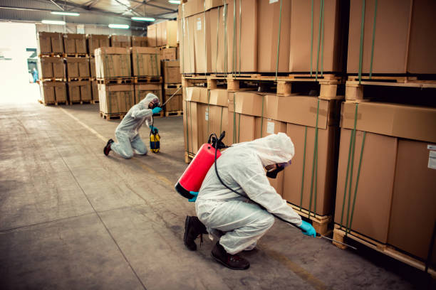 Wasp Removal Services in North River Shores, FL
