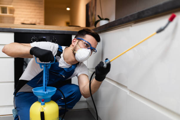 Best Pest Prevention Services  in North River Shores, FL