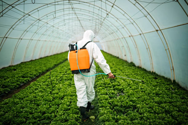 Best Residential Pest Control  in North River Shores, FL