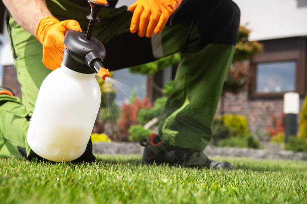 Best Pest Prevention Services  in North River Shores, FL