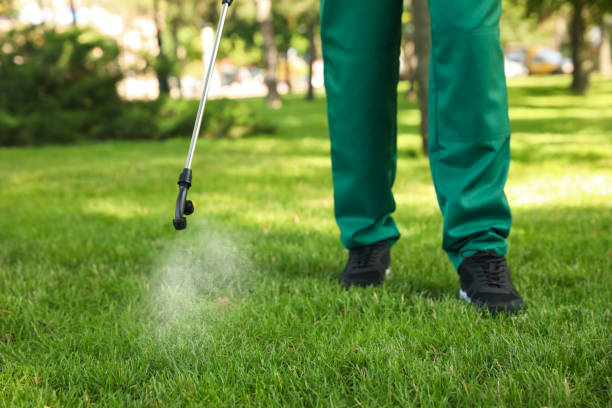 Pest Control for Restaurants in North River Shores, FL