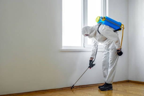 Best Emergency Pest Control  in North River Shores, FL