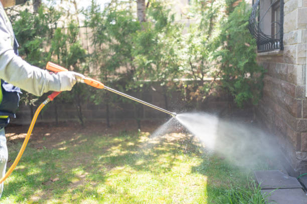 Best Best Pest Control Companies  in North River Shores, FL