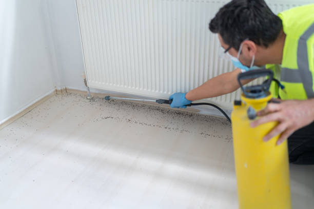 Best Wasp Removal Services  in North River Shores, FL
