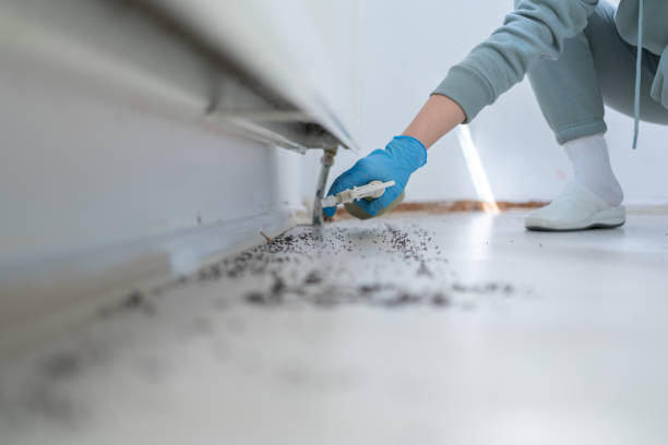 Best Pest Removal Services  in North River Shores, FL