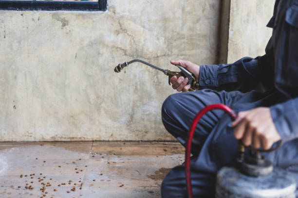 Best Mosquito Control Services  in North River Shores, FL